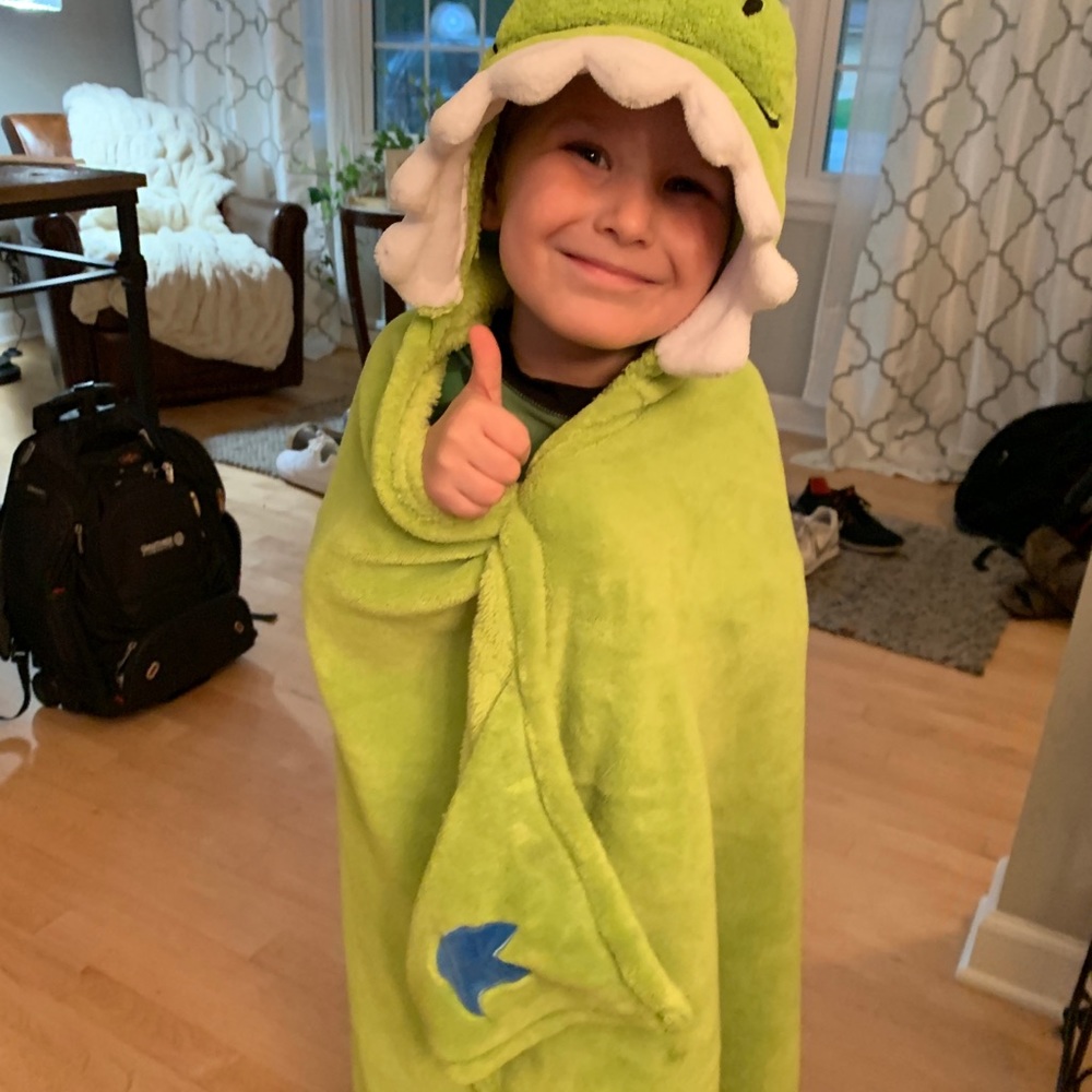 Dinosaur blanket